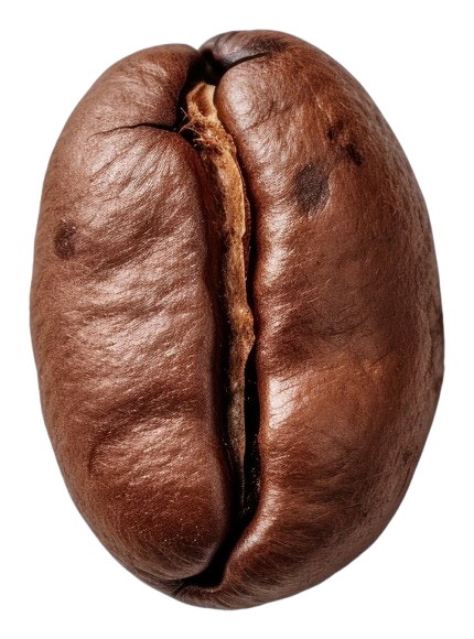 Coffee Bean